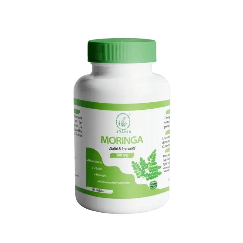 Urania Moringa - vue 2
